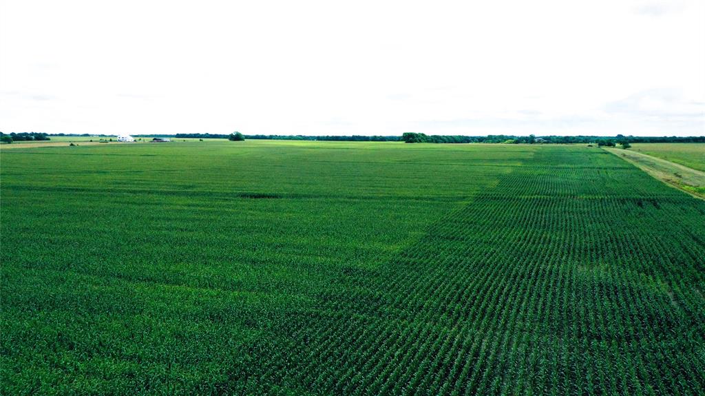 Tbd Fm Hwy 272 Property Photo 7