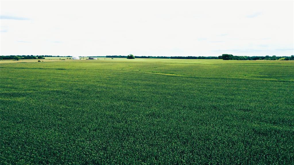 Tbd Fm Hwy 272 Property Photo 8