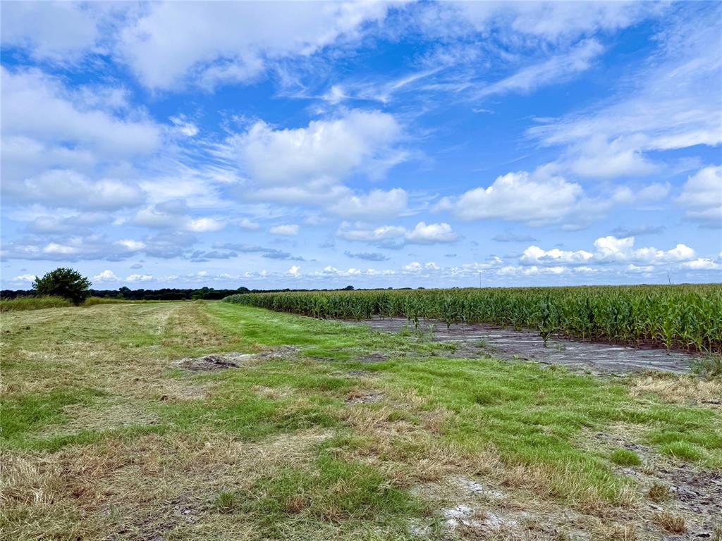 Tbd Fm Hwy 272 Property Photo 13