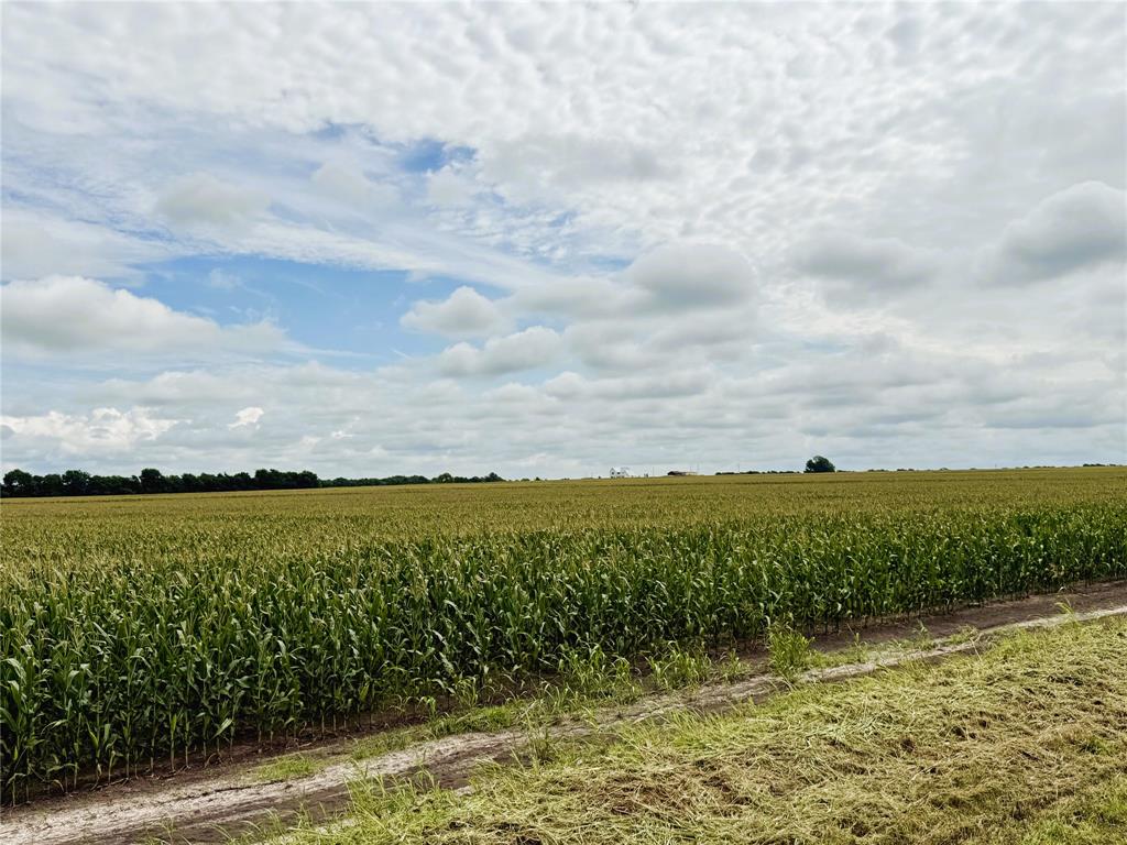 Tbd Fm Hwy 272 Property Photo 16
