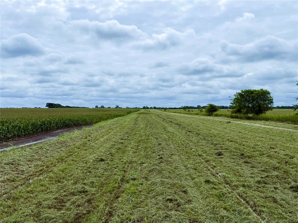 Tbd Fm Hwy 272 Property Photo 17