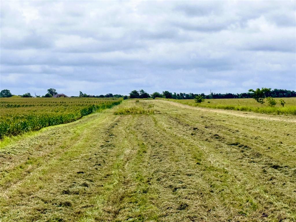 Tbd Fm Hwy 272 Property Photo 18