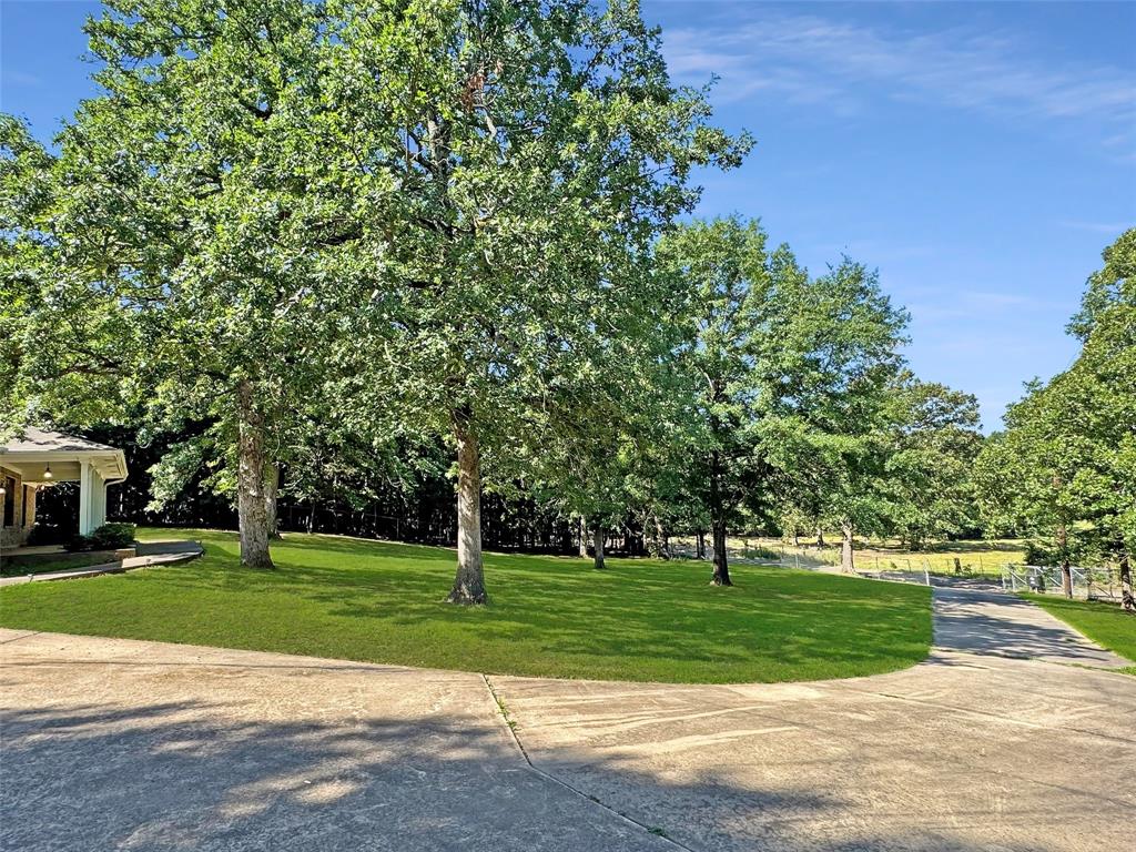 3870 County Road 45080 Property Photo 34