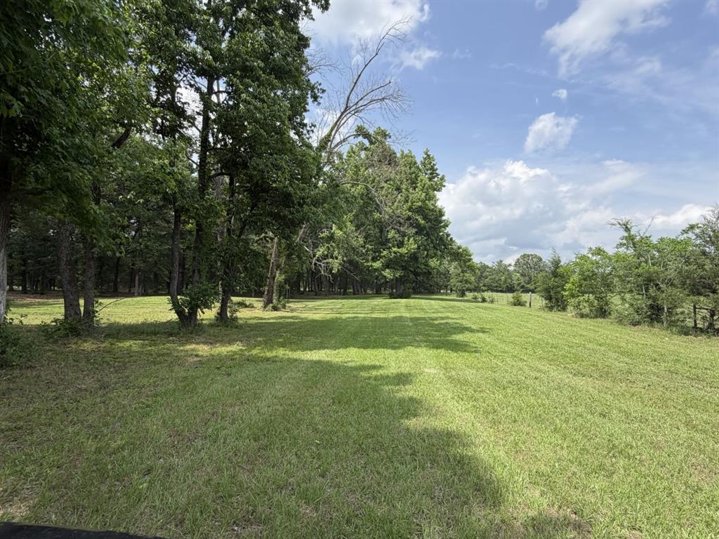 276 Fm 71 Property Photo 31