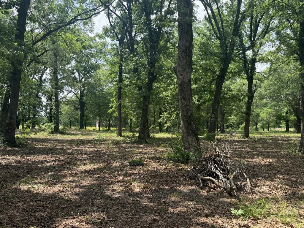276 Fm 71 Property Photo 32