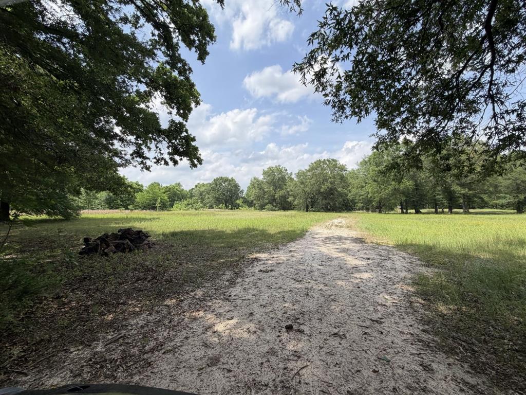 276 Fm 71 Property Photo 34