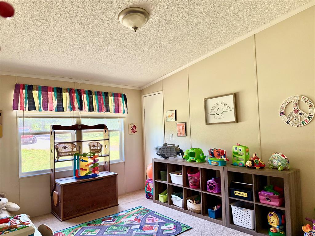 3539 County Road 265 Property Photo 17