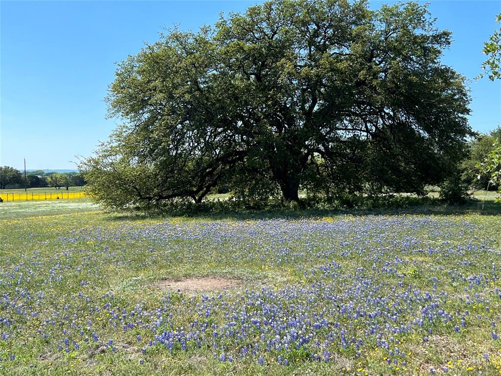 660 Fm 203 Property Photo 17