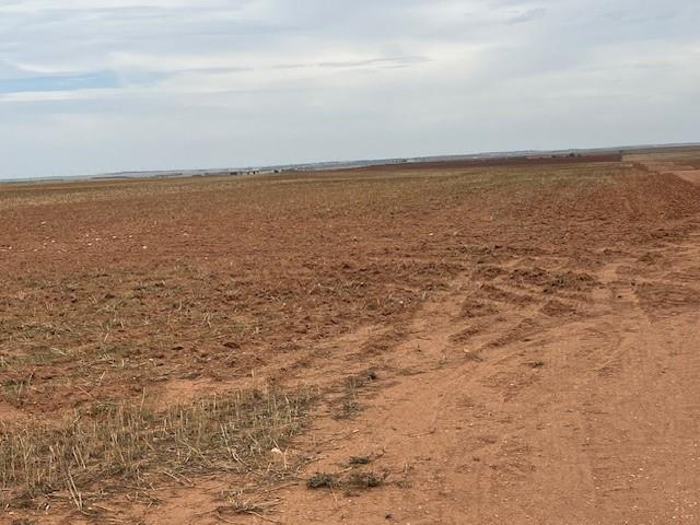 Tbd Fm 611 Property Photo 15