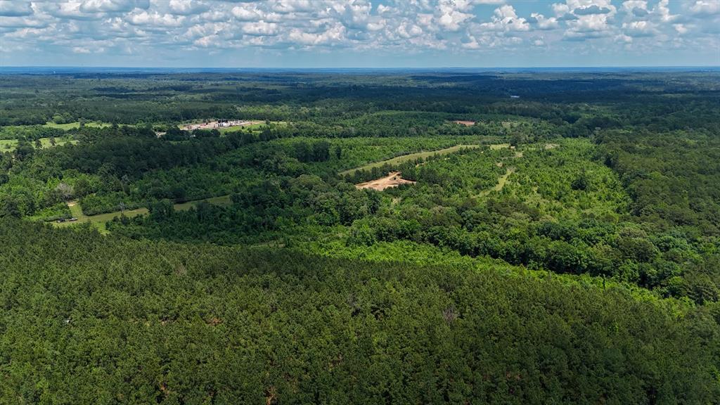 000 Avinger Cutoff Road Property Photo 3