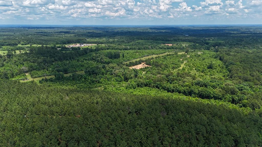 000 Avinger Cutoff Road Property Photo 4