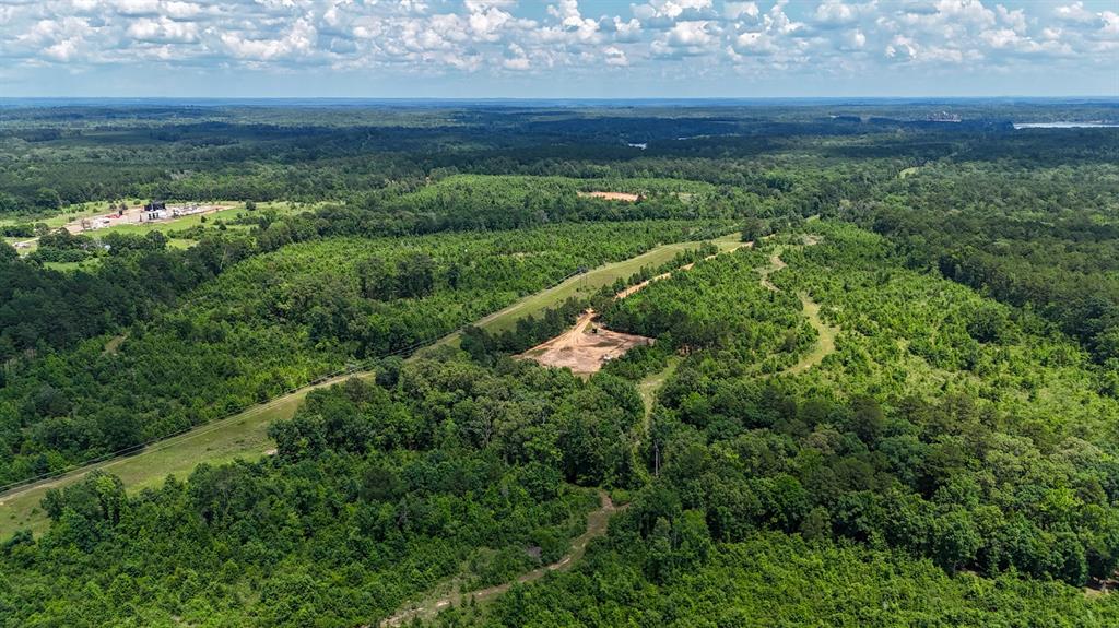 000 Avinger Cutoff Road Property Photo 6