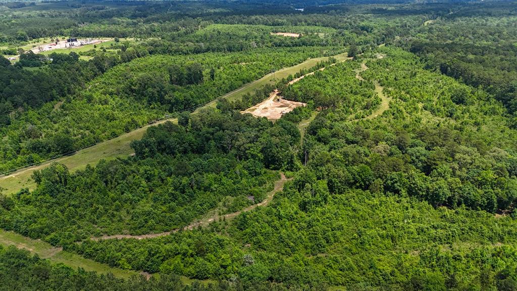 000 Avinger Cutoff Road Property Photo 7