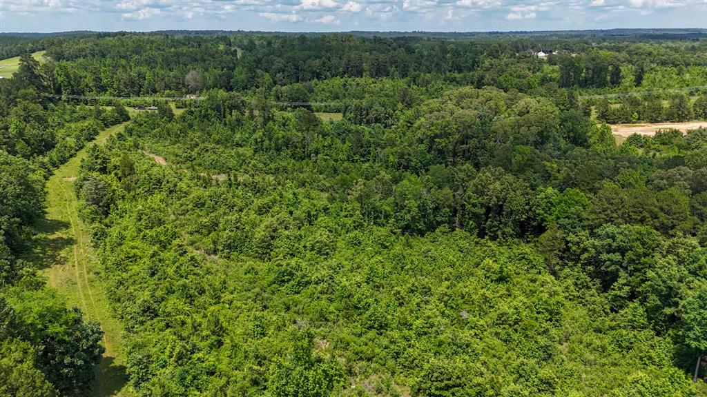 000 Avinger Cutoff Road Property Photo 8