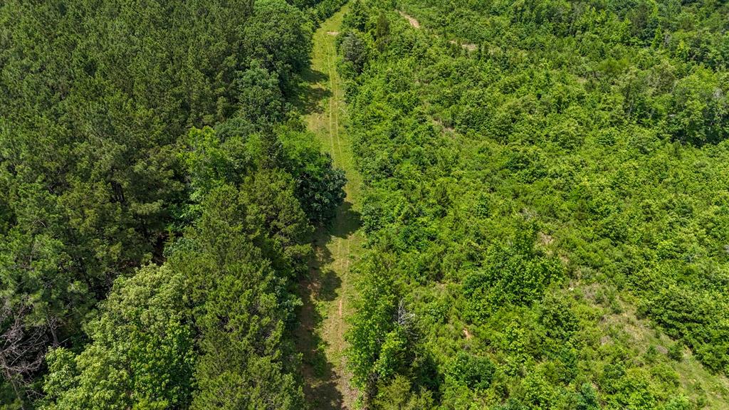 000 Avinger Cutoff Road Property Photo 9