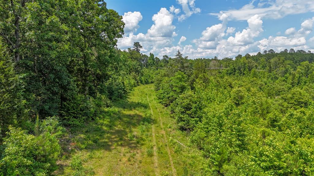 000 Avinger Cutoff Road Property Photo 10