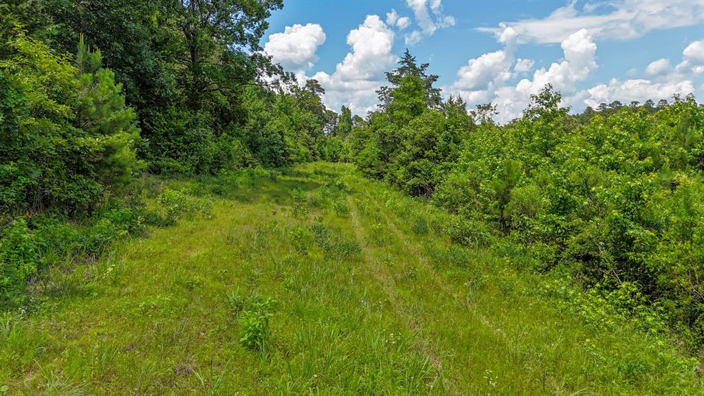 000 Avinger Cutoff Road Property Photo 11