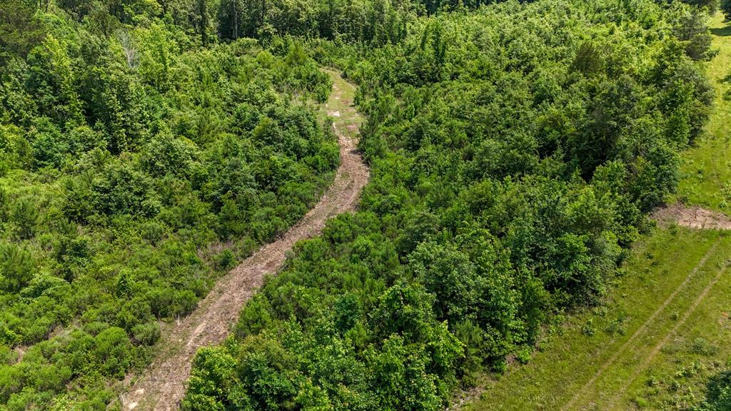 000 Avinger Cutoff Road Property Photo 13