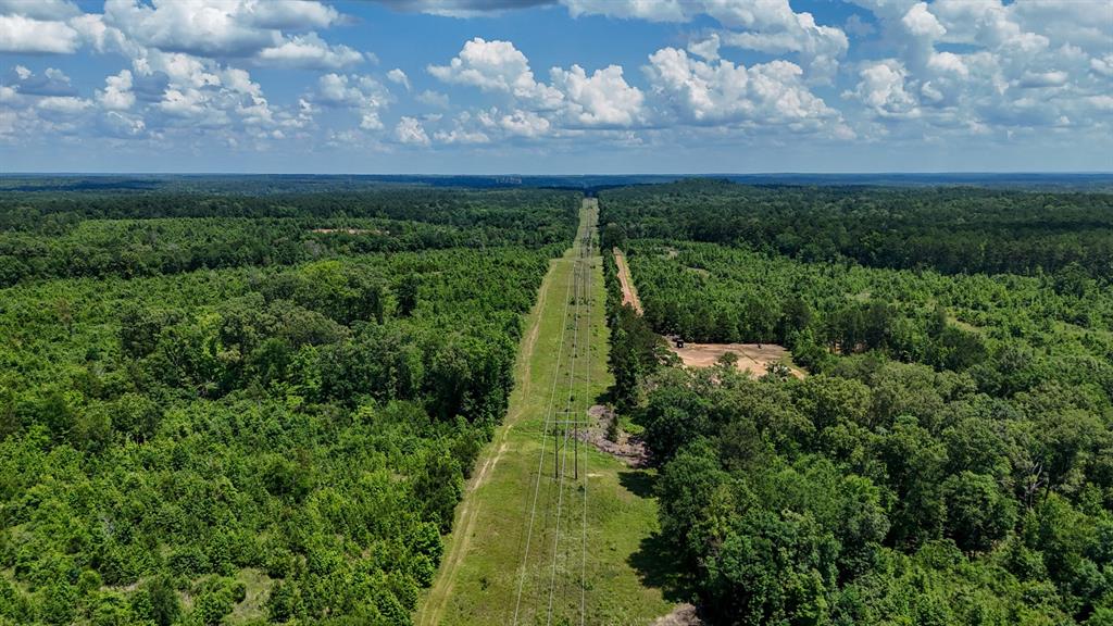 000 Avinger Cutoff Road Property Photo 14