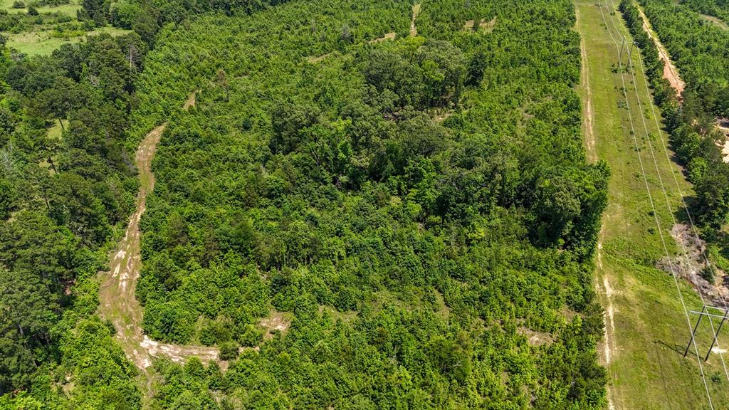 000 Avinger Cutoff Road Property Photo 15