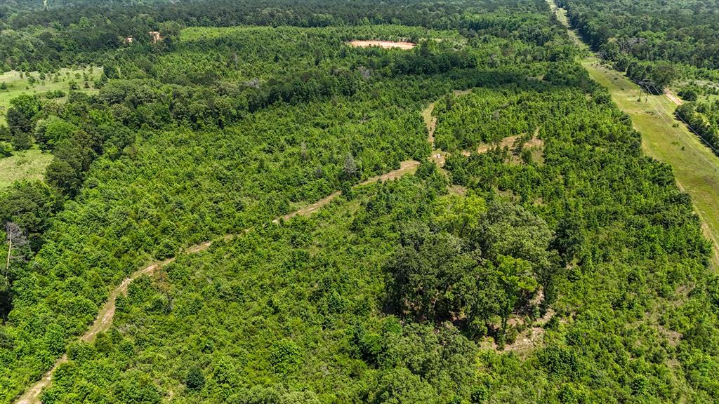 000 Avinger Cutoff Road Property Photo 16
