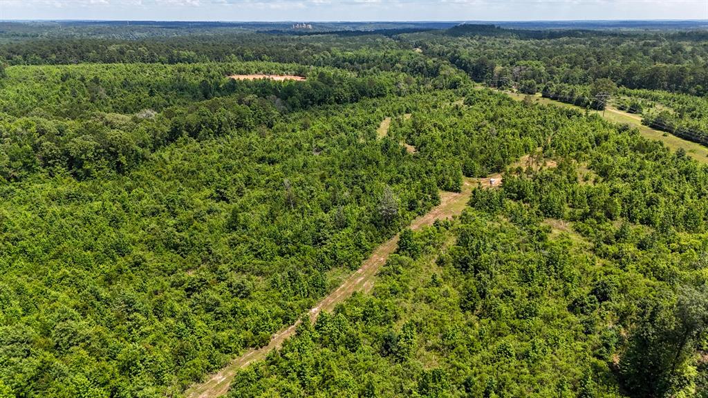 000 Avinger Cutoff Road Property Photo 17