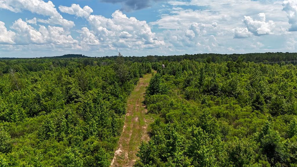 000 Avinger Cutoff Road Property Photo 18