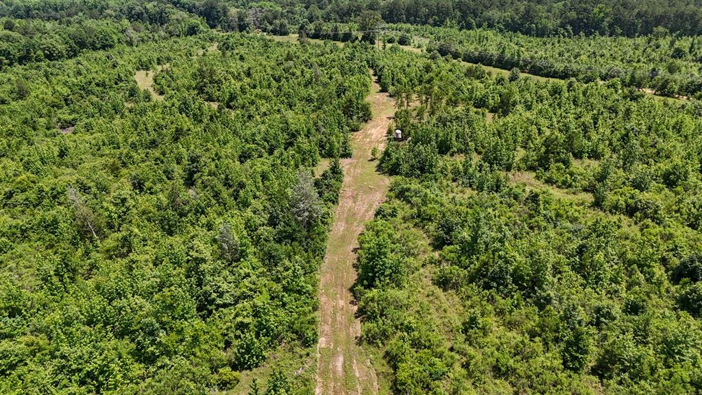 000 Avinger Cutoff Road Property Photo 19