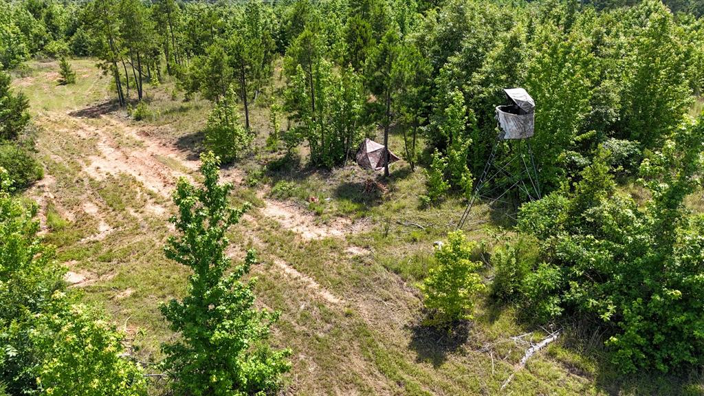 000 Avinger Cutoff Road Property Photo 20