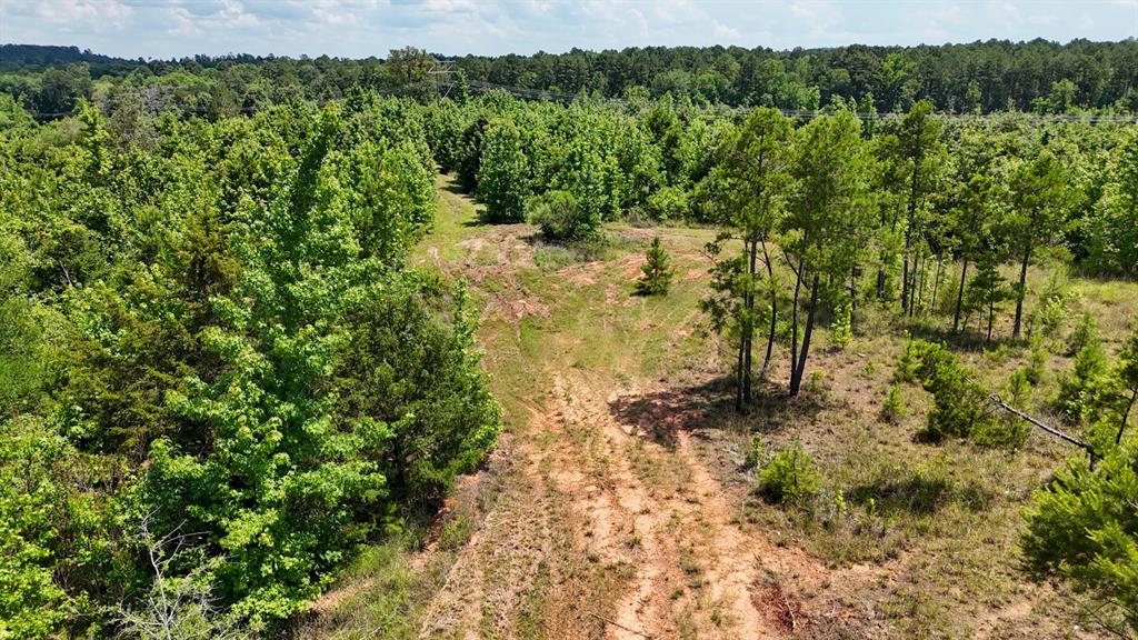 000 Avinger Cutoff Road Property Photo 23