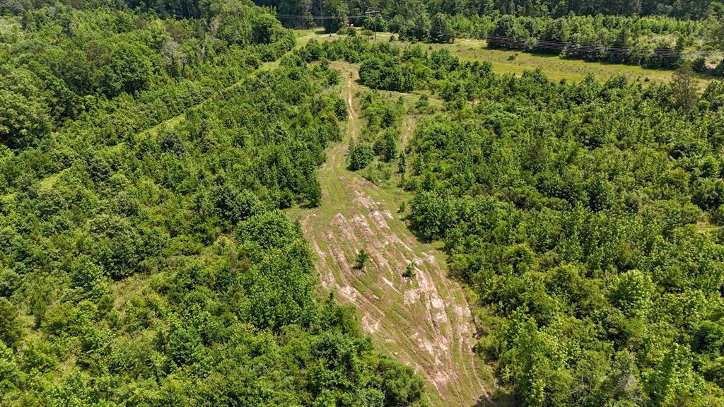 000 Avinger Cutoff Road Property Photo 24
