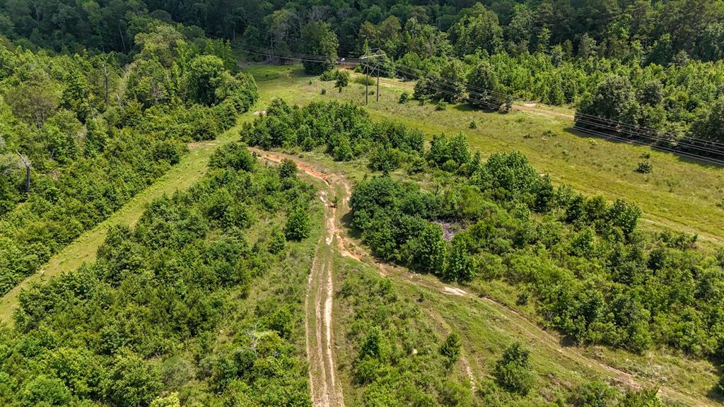 000 Avinger Cutoff Road Property Photo 25