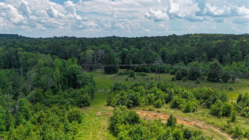 000 Avinger Cutoff Road Property Photo 26