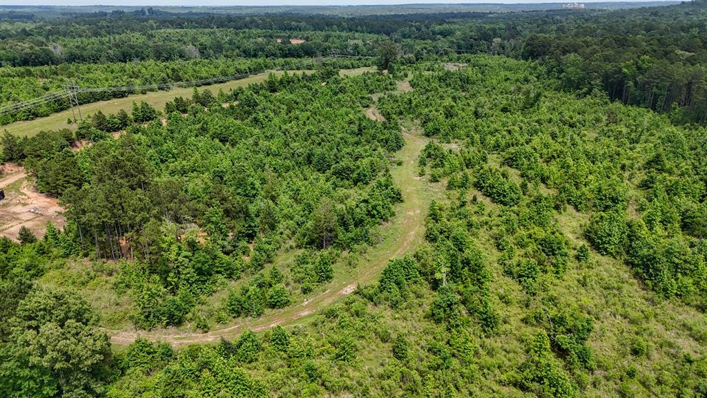 000 Avinger Cutoff Road Property Photo 28