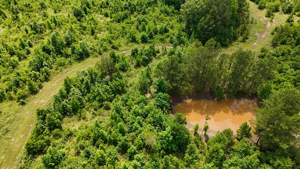 000 Avinger Cutoff Road Property Photo 30
