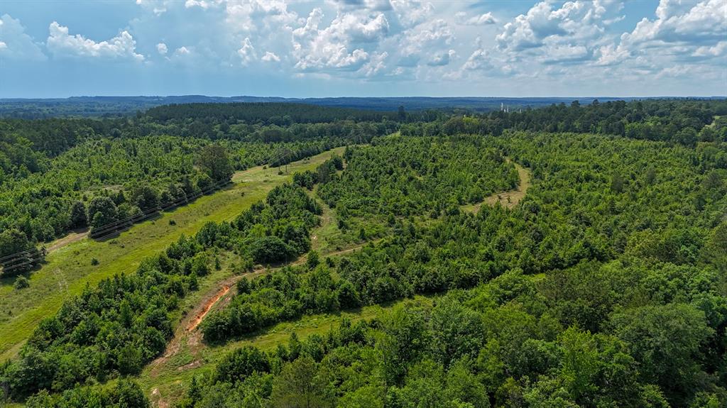 000 Avinger Cutoff Road Property Photo 31