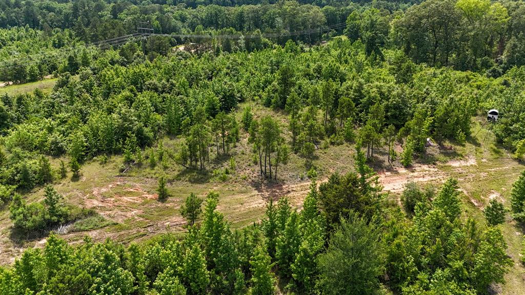 000 Avinger Cutoff Road Property Photo 32