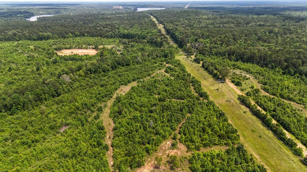 000 Avinger Cutoff Road Property Photo 33