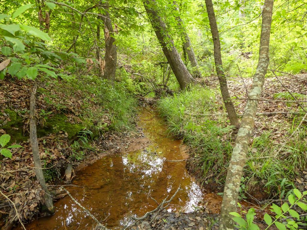 000 Avinger Cutoff Road Property Photo 34
