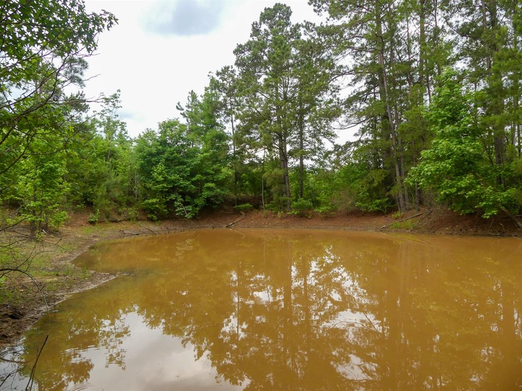 000 Avinger Cutoff Road Property Photo 39