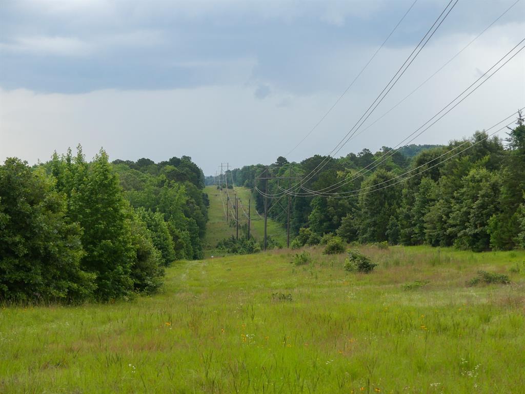 000 Avinger Cutoff Road Property Photo 40