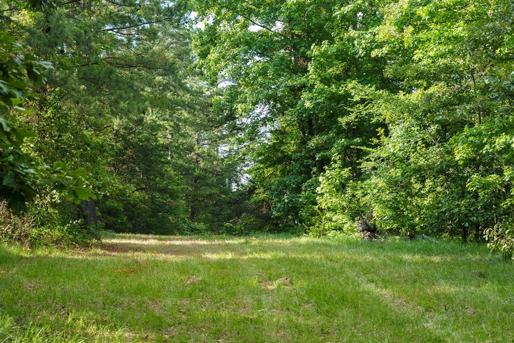 22924 County Road 223 Property Photo 6