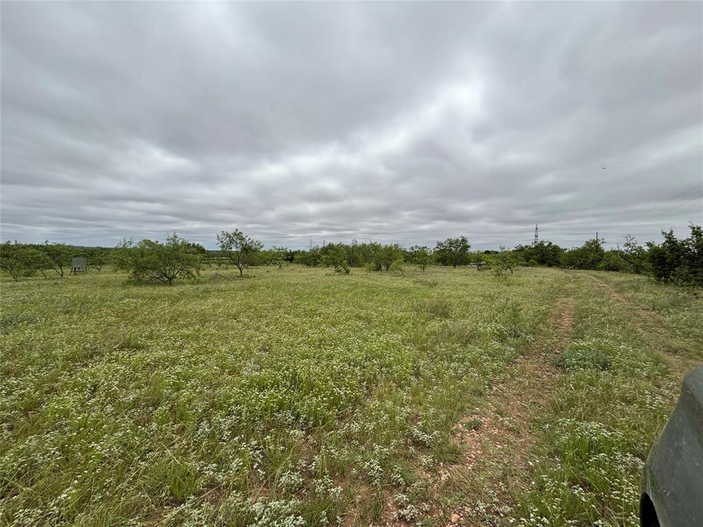 202 County Road 312 Property Photo 6