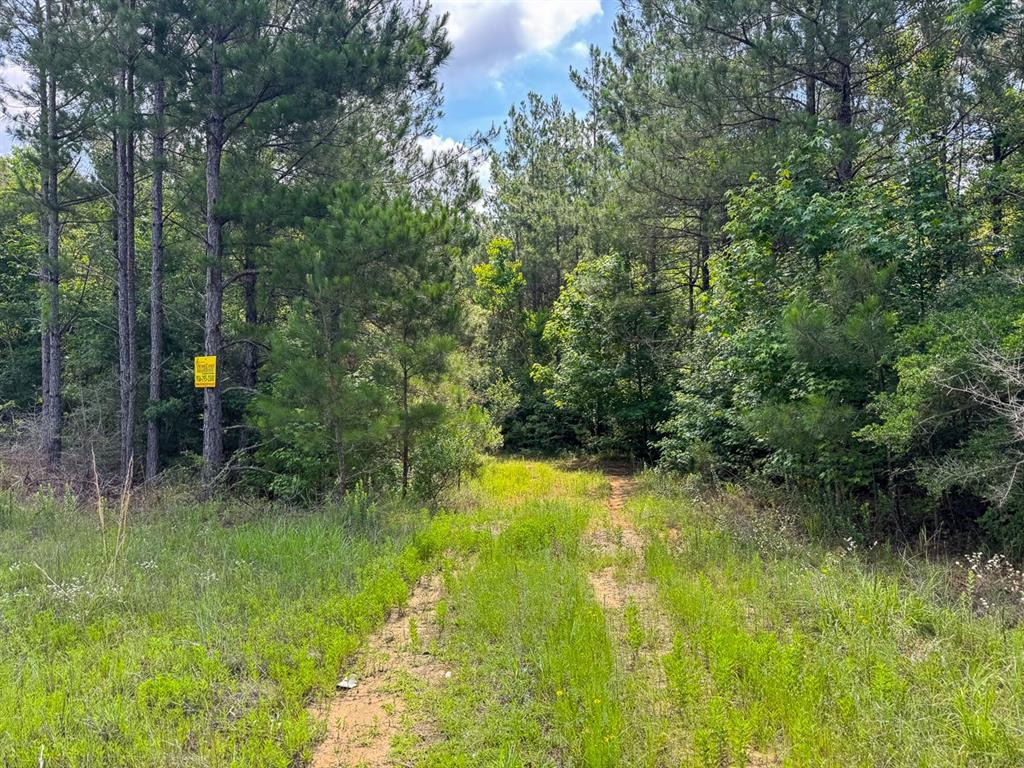 1 Highway 126 Property Photo 6