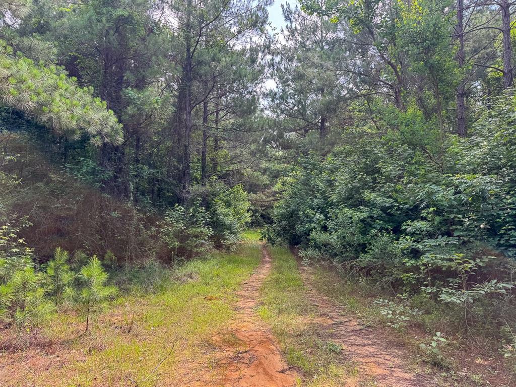 1 Highway 126 Property Photo 7