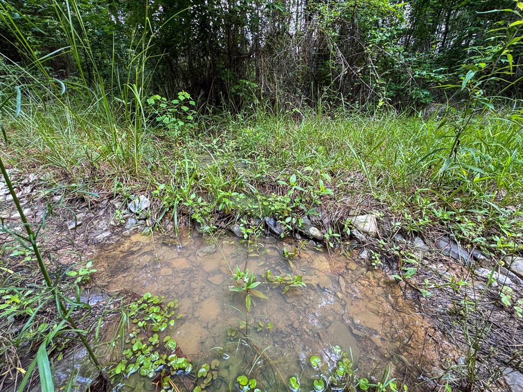 1 Highway 126 Property Photo 10