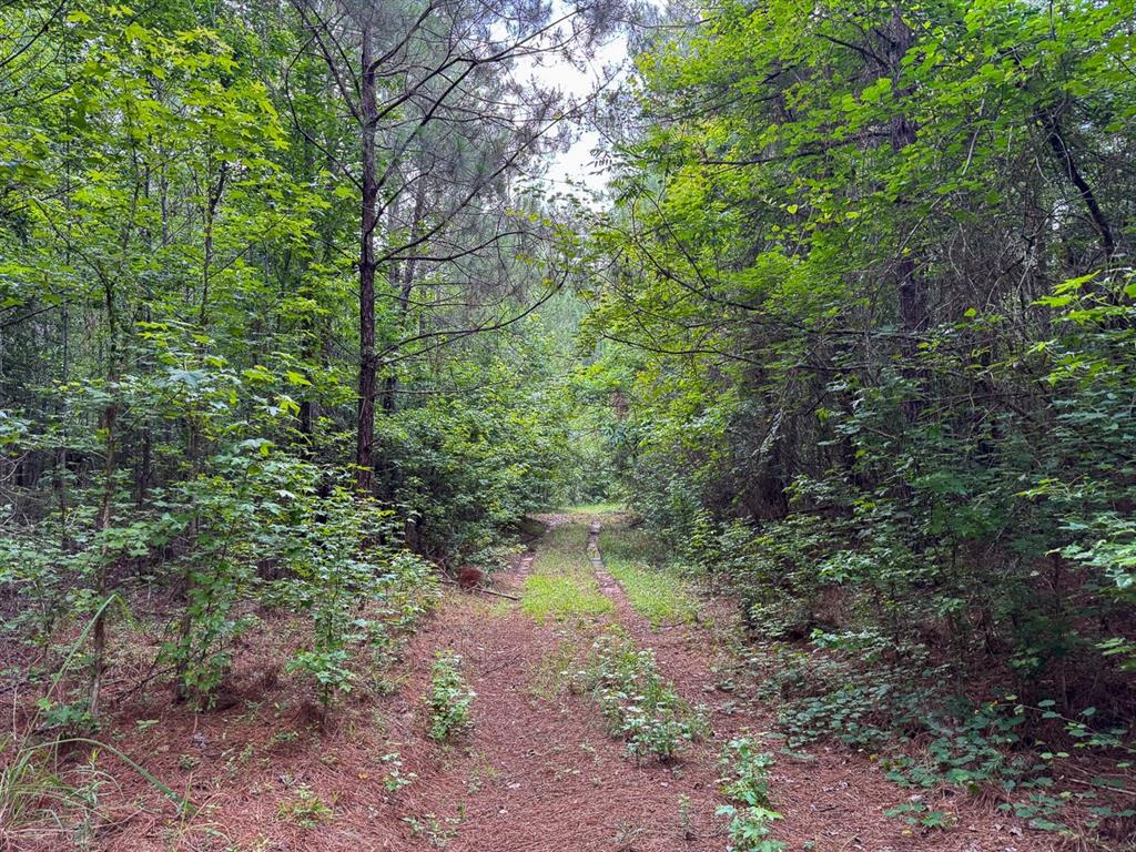 1 Highway 126 Property Photo 11
