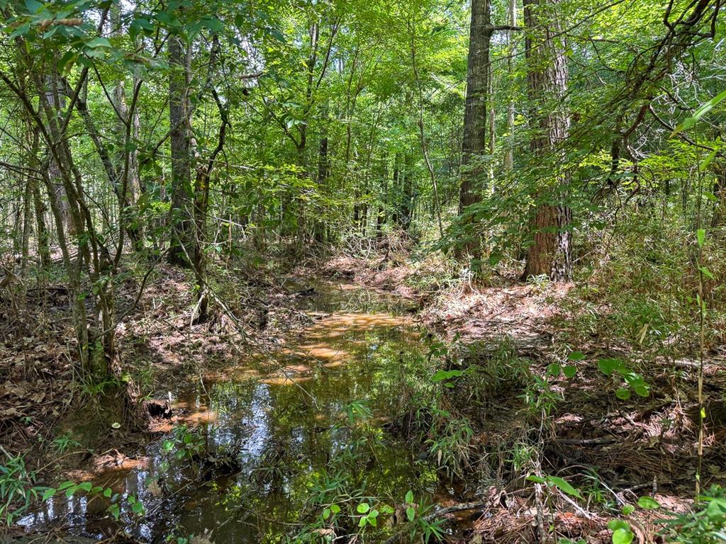 1 Highway 126 Property Photo 13