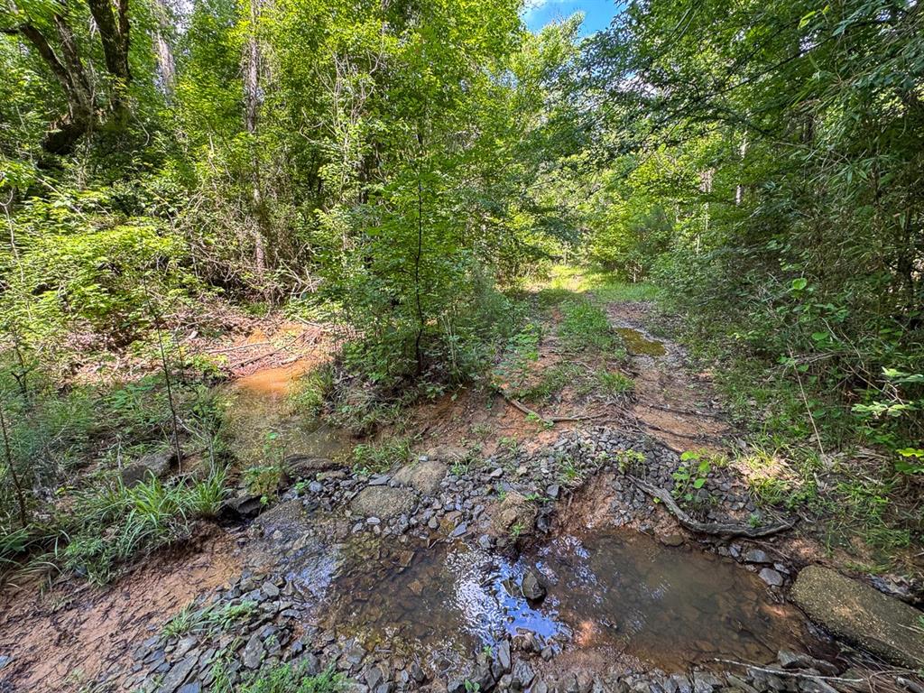 1 Highway 126 Property Photo 14
