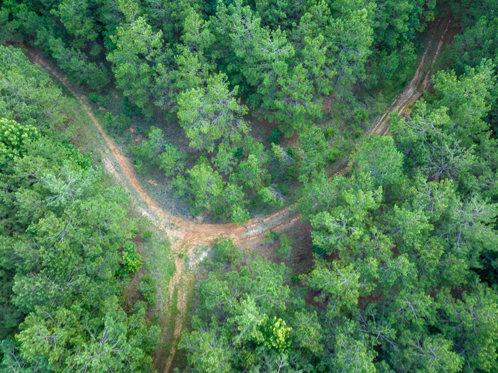 1 Highway 126 Property Photo 18